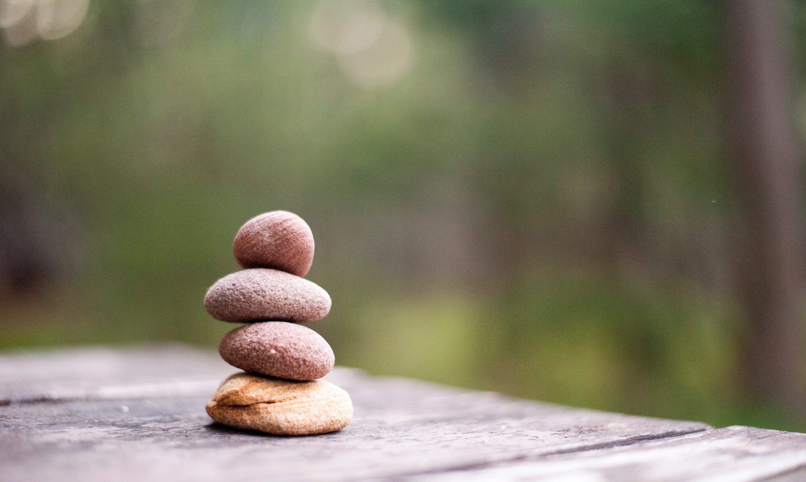 cropped-balance-blur-close-up-668353-3.jpg