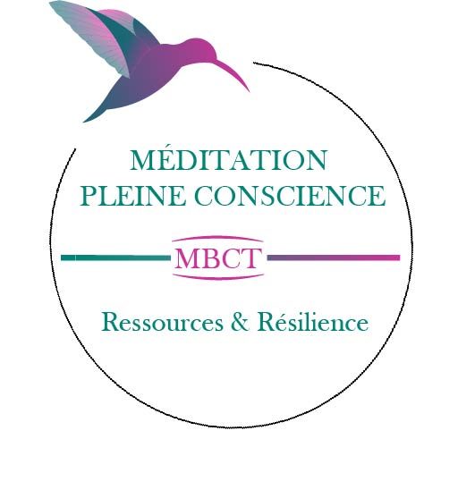 cropped-logo-MÉDITATION-PLEINE-CONSCIENCE-1-1.jpg